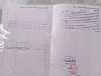 Bán Đất Mặt Tiền Đường Võ Văn Tần, Tân Tiến, Lagi, Bình Thuận - Sổ Sẵn Sang Tên Ngay