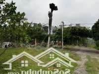 Bán Mảnh Đất Giá Rẻ Gần 2100M2 Tại Phú Vinh, Tân Lạc, Hòa Bình (Gần Chân Đèo Đá Trắng)