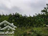 Bán Mảnh Đất Giá Rẻ Gần 2100M2 Tại Phú Vinh, Tân Lạc, Hòa Bình (Gần Chân Đèo Đá Trắng)