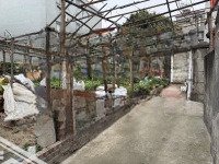 Chính Chủ Gửi Bán 43.2M Thôn Dục Tú- Xã Dục Tú
