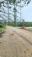 Bán Gấpmặt Tiềnđường Nguyễn Chí Thanh, Phưởng 6, Tp Sóc Trăng, Sóc Trăng( Gần Chợ Sóc Trăng)120M2/ 600 Triệu