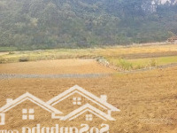 Bán Đất Tại Xã Sào Báy, 5,8 Tỷ, 1500M2 Siêu Đẹp, Có 400M2 Là Thổ Cư