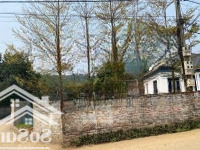Lô Góc Đẹp Vị Trí Trung Tâm Thuận Tiện Giao Thông