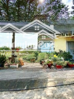 Chính Chủ Cần Bán Gấp Lô Đất 114M2 , Nằm Trên Trục Đường Tỉnh Lộ 10 , Đối Diện Sông An Hạ