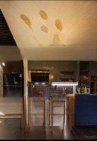 Bán Nhà Hẻm Xe Hơi Nguyễn Đình Chiểu Phường 5 Quận 3 (3.3X10M, 2 Tầng ) Giá Bán 7.4 Tỷ
