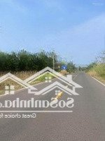 Cần Bán 1 Mẫu Đất Mặt Tiền Đường Nhựa Khu Dân Cư Đông Đúc
