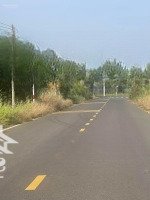 Cần Bán 1 Mẫu Đất Mặt Tiền Đường Nhựa Khu Dân Cư Đông Đúc