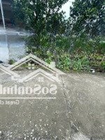 Siêu Hot Cụm 3 Lô Đất Trường Yên Full Thổ Giá Chỉ 1.X Tỷ!