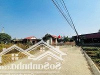 Kèo Thơm Kèo Thơm. Chỉ Hơn 16 Triệu Có Ngay Siêu Phẩm Ô Tô Tránh Ạ