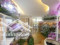 26Tỷ Bán Nhà Mặt Phố 50M2 5T Mặt Tiền 7,8M, Lạc Long Quân, Q Tây Hồ, Vỉa Hè Rộng, Kinh Doanh Đỉnh