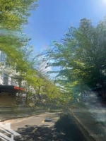 Nhà 4 Tầng Mặt Đường Cát Tường Eco City. Bmt