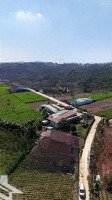 Bán Nhà Vườn Bảo Lâm Mặt Tiền Đường Lộc Tân. Diện Tích 619,2M2. Nở Hậu. Nhà Đẹp Mộng Mơ