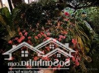 Bán Bt Song Lập Hoa Lan 1-23. Đối Diện Almaz, Gần Công Viên. 252M2. Mặt Tiền 10M, Vị Trí Rất Đẹp.
