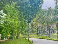 Bán Gấp Shophouse 90M2 Tại Vinhomes Thăng Long, Giá Cực Tốt 1X Tỷ