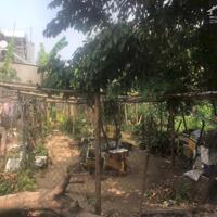 Bán đất tại Bình Hòa - Cây Dương, 950 triệu, 120m2, Vĩnh Cửu,Đồng Nai chỉ với giá cực chất