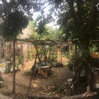 Bán đất tại Bình Hòa - Cây Dương, 950 triệu, 120m2, Vĩnh Cửu,Đồng Nai chỉ với giá cực chất