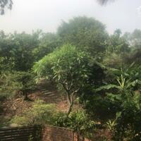  Cơ Hội Sở Hữu Đất Vườn 2400m² Tại Vĩnh Cửu – View Sông Thoáng Mát, Có Sẵn Cây Cảnh