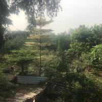  Cơ Hội Sở Hữu Đất Vườn 2400m² Tại Vĩnh Cửu – View Sông Thoáng Mát, Có Sẵn Cây Cảnh