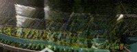 Bán Ch Đẹp Tại Mulberry Lane, 3,4 Tỷ, 45M2, 1 Phòng Ngủ 1 Vệ Sinh Sẵn Sổ, Liện Hệ 24/24H Cho E Liên Hệ: 0945566468