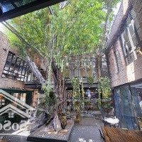 Cho Thuê Nhàmặt Tiềnđường D5, Quận Bình Thạnh, Diện Tích 14 X 15M, Kết Cấu Trệt 1 Lầu, Giá Bán 80 Triệu