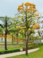 Cần Bán Nhà Liền Kề Ngọc Trai 90M2 Xây Thô Giá Cực Êm