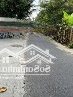 Bán Đất Chợ Gạo, Tiền Giang, 227.5M2, Mặt Lộ Gần Khu Công Nghiệp, Trường Các Cấp, Tiện Ích Đầy Đủ