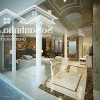 Siêu Hiếm, Góc 3 Mặt Tiền Ngay Nguyễn Thái Học, Quận 1. 9Mx15M. Xd: Hầm 7T. Hđt 280 Triệuiệu. Giá Bán 62Tỷ
