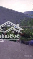 Bán Gấp Lô Đất Đẹp Tại Ấp Ông Non, Xã Tân Trung, Tp Gò Công, Chỉ 425 Triệu Có Diện Tích Rộng 135M2