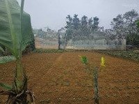 Bán Gấp Đất Tại Tân Tiến, Chương Mỹ, Hà Nội