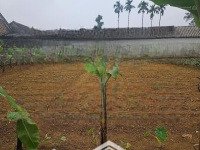 Bán Gấp Đất Tại Tân Tiến, Chương Mỹ, Hà Nội