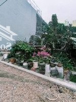 Bán Đất Tại Thuận Tốn - Đa Tốn - Gia Lâm Giá Bán 4,6 Tỷ