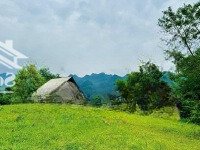 Bán Lô Đất Lạc Sơn, Hòa Bình Cách Hà Nội Chỉ 100Km.diện Tíchgần 1500M2 Giá Chỉ 1 Tỷ