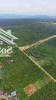 Một Lô View Núi Đại Bình ,Chị Chủ Hạ Giá Bán Nhanh Trong Tuần