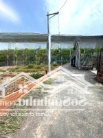 Bán Đất Thổ Cư Đẹp Hẻm Xe Hơi 72M2_5*14.1M Gần Lê Văn Việt Tăng Nhơn Phú A Thủ Đức Chỉ 4.3 Tỷ