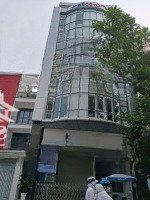 Siêu Phẩm Rẻ Nhất! Bán Nhàmặt Tiềnký Con, Quận 1 (7X 20M, Hầm + 6 Tầng, Hđt 250 Tr/Th), Giá Bán 55 Tỷ