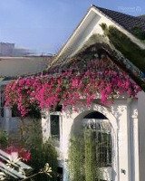 Bán Nhà Đường Âu Cơdiện Tích7.5M X 34M Giá Bán 23.5 Tỷ Còn Tl