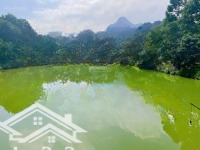Chính Chủ Cần Tiền Làm Ăn Muốn Bán Gấp Lô Đất 7.800M2 Tại Kim Bôi Hòa Bình, Vị Trí Cực Đẹp