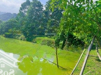 Chính Chủ Cần Tiền Làm Ăn Muốn Bán Gấp Lô Đất 7.800M2 Tại Kim Bôi Hòa Bình, Vị Trí Cực Đẹp