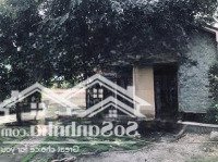 Nhà Biệt Thự Ngang 18 Dài 55 Có 800 M2 Thổ Cư