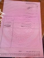 Lô Đất Hẻm Đình Thần Nguyễn Bình, Cách Đường Huỳnh Văn Lũy 100M;Diện Tích5Mx26M, Tc 64.3M, Nở Hậu 5.2M