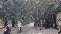 Nhà Khương Đình 44M, 5 Tầng, Mặt Tiền 3,5M, Giá Bán 9,2 Tỷ, 30M Ra Phố Khương Đình, Kinh Doanh Đỉnh