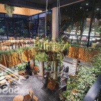 Siêu Phẩm! Cho Thuê Nhà Mặt Phố Vũ Phạm Hàm, 110Mx5T,Mặt Tiềnlô Góc 20M Nhận Diện Cực Đỉnh