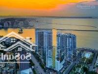 Chính Chủ Cần Bán Cắt Lỗ Căn Studios 35M2 Tại Chung Cư The Sapphire S2, Bao Biển Bến Đoan, Hạ Long