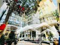 Bán Biệt Thự Tây Hồ Giá Đầu Tư, 165M2 Gara Ô Tô, Mặt Tiền 11.3M, Vượng Khí Hồ Tây, Giá Bán 50 Tỷ