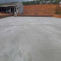 Hàng víp mà giá lại rẻ cả nhà Thọ Văn-TN