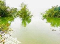 Gần 5600 M2 Đất Cây Hàng Năm Bám Sông Bôi Xanh Mát Giá Chỉ 1,X Tỷ, Cách Tt Hà Nội Chỉ 60 Km