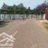 Mat Tiền Đường Tỉnh Lộ 621 Binh Tân Phú Cách Biển Châu Tân 2Km 620Mv Gia Rẻ