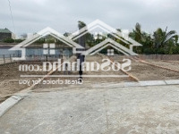Bán Lô Đất 60M2 Nằm Trên Trục Đường Tỉnh Lộ 352 Trung Tâm Xã Liên Xuân Thuỷ Nguyên Giá Chỉ 495 Triệu