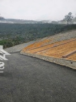 Bán Lô Đất Gần Trục Chính Phú Mãn 2 Xe Ben Thông Tứ Phía View Đẹp 113M Nhỉnh 3 Tỷ