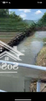 Bán Đất Vườn, Suối Lớn Quanh Năm, Có Thổ Cư, Đủ Loại Cây Ăn Trái, Có Cồn Đất Tự Nhiên..
